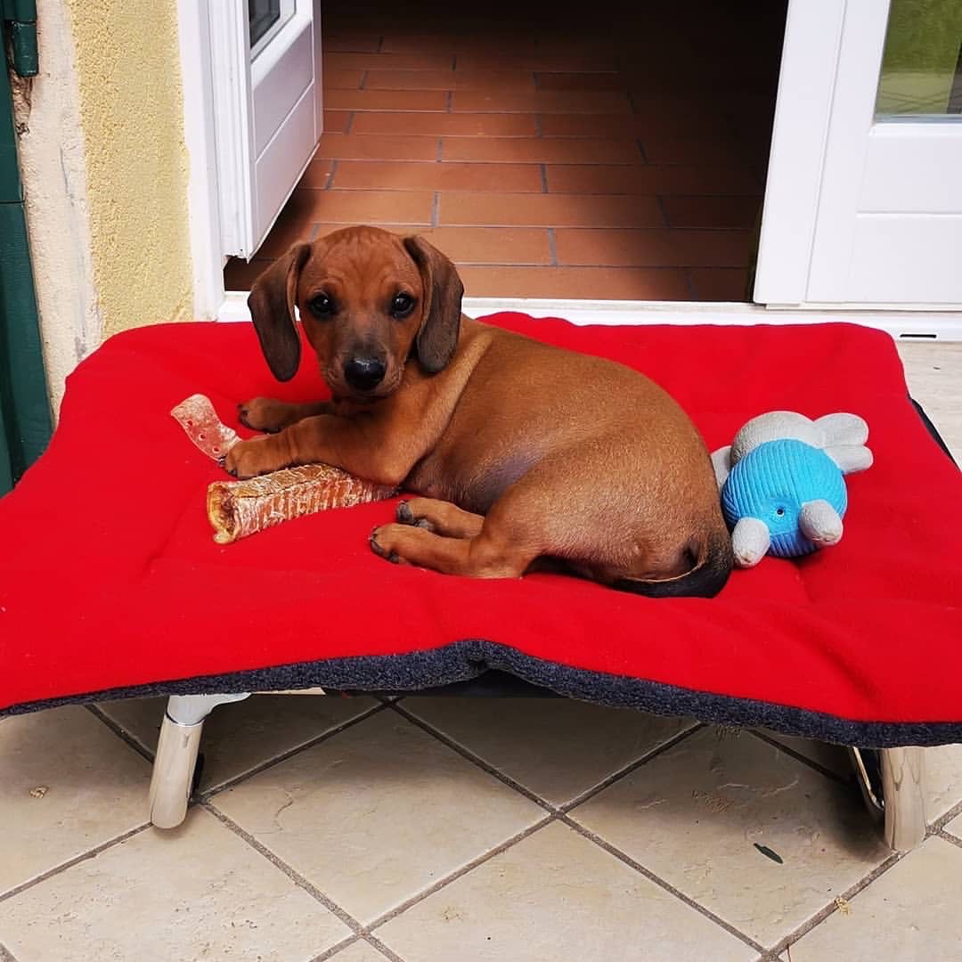 44bce640-9a95-4fbe-8fd7-d68aa42802aa