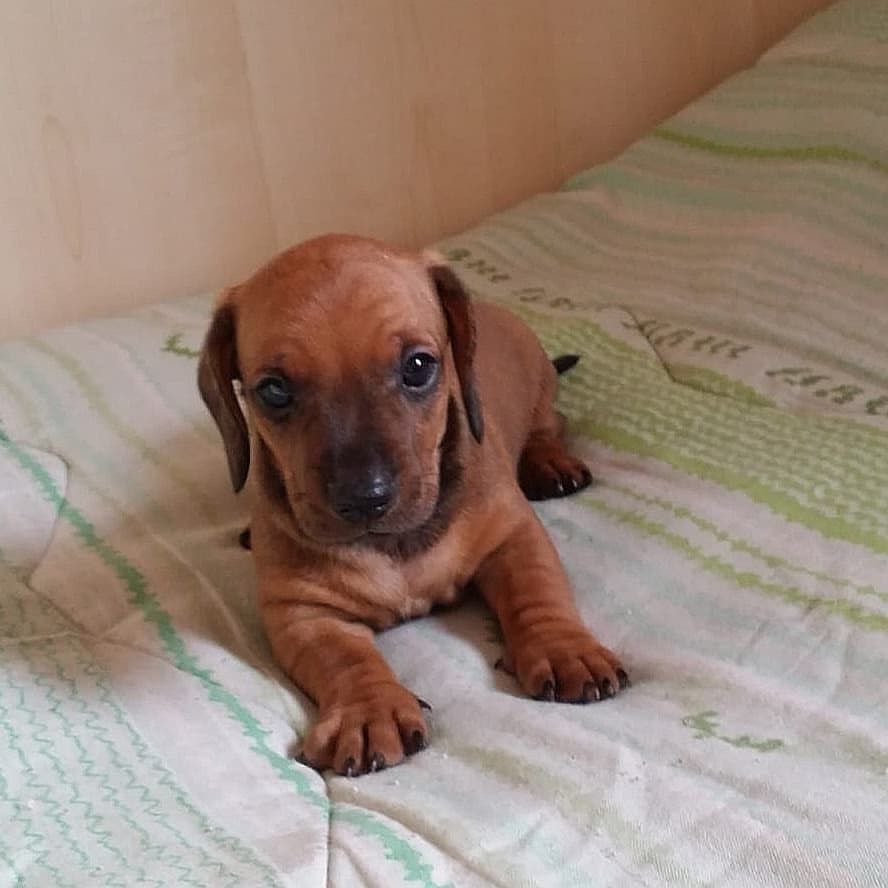 49c6fdb8-4bd9-4552-9920-e1a5ef180b7d